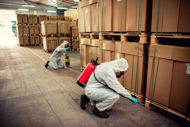 Best Pest Control Near Me  in Van Alstyne, TX