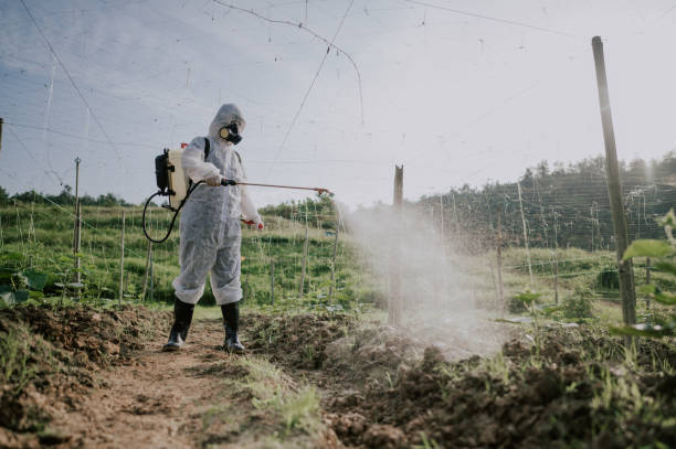 Pest Control Cost in Van Alstyne, TX