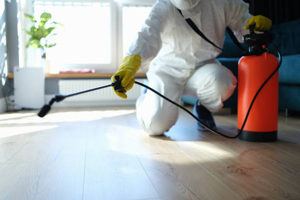 Best Wasp Removal Services  in Van Alstyne, TX