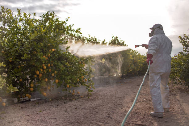 Best Mosquito Control Services  in Van Alstyne, TX