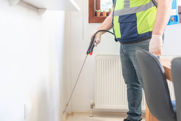 Best Ant Control Services  in Van Alstyne, TX