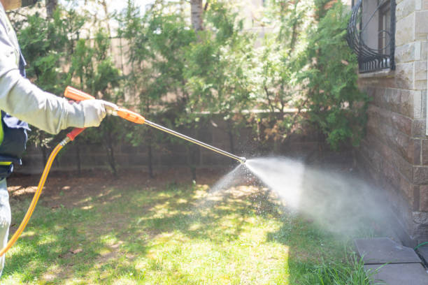 Best Bed Bug Extermination  in Van Alstyne, TX