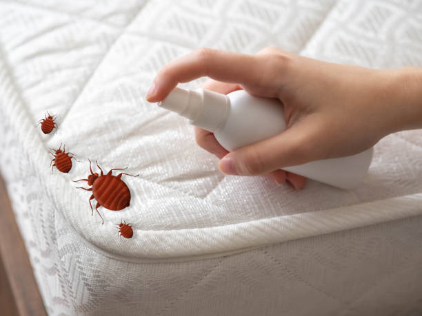  Van Alstyne, TX Pest Control Pros