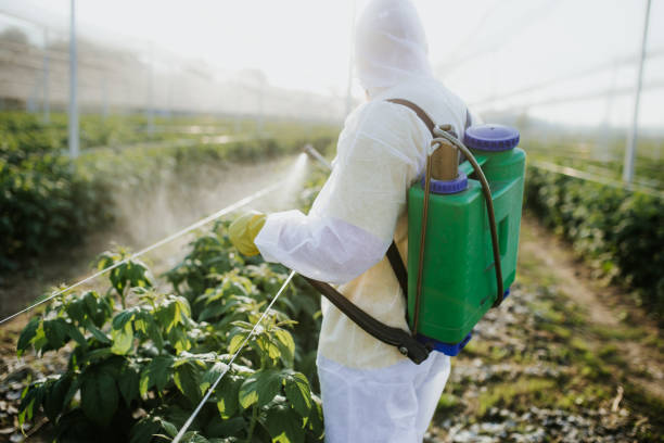 Best Local Pest Control Services  in Van Alstyne, TX